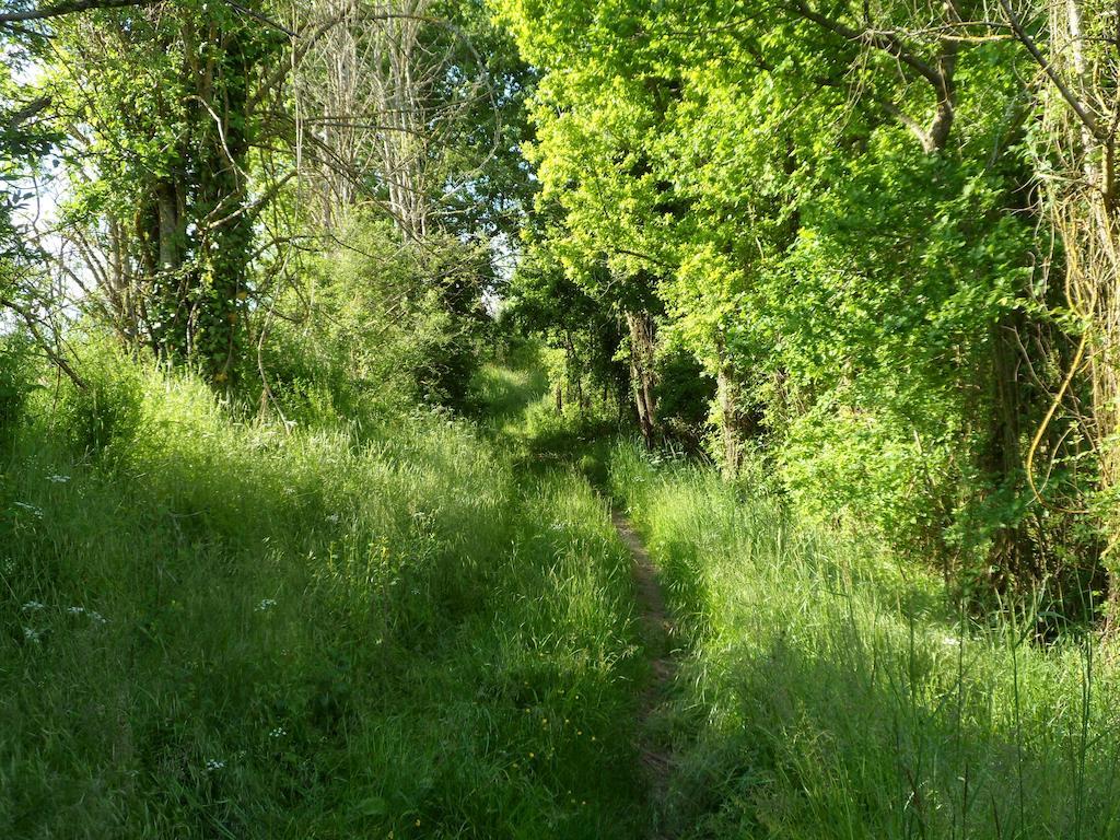 La Cle Des Chants Tauxigny Eksteriør billede